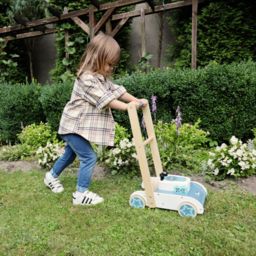 Lawn mover push along