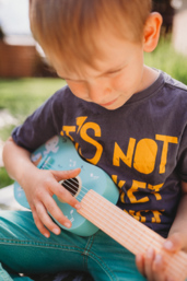 Gitara zwierzęta leśne