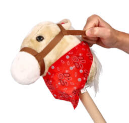 Hobby horse Akhal