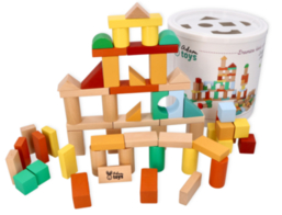 Building Blocks Adam Toys 100 pcs